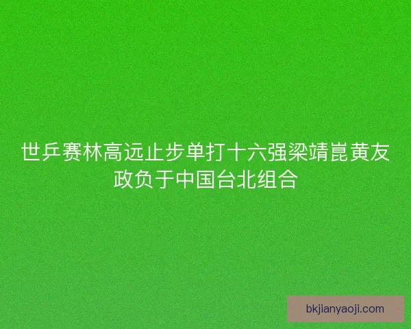 世乒赛林高远止步单打十六强梁靖崑黄友政负于中国台北组合