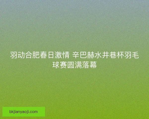 羽动合肥春日激情 辛巴赫水井巷杯羽毛球赛圆满落幕